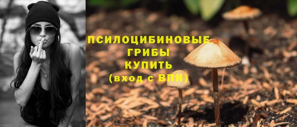 PSILOCYBIN Баксан